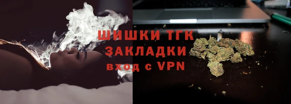 ГАЛЛЮЦИНОГЕННЫЕ ГРИБЫ Абинск